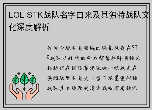 LOL STK战队名字由来及其独特战队文化深度解析